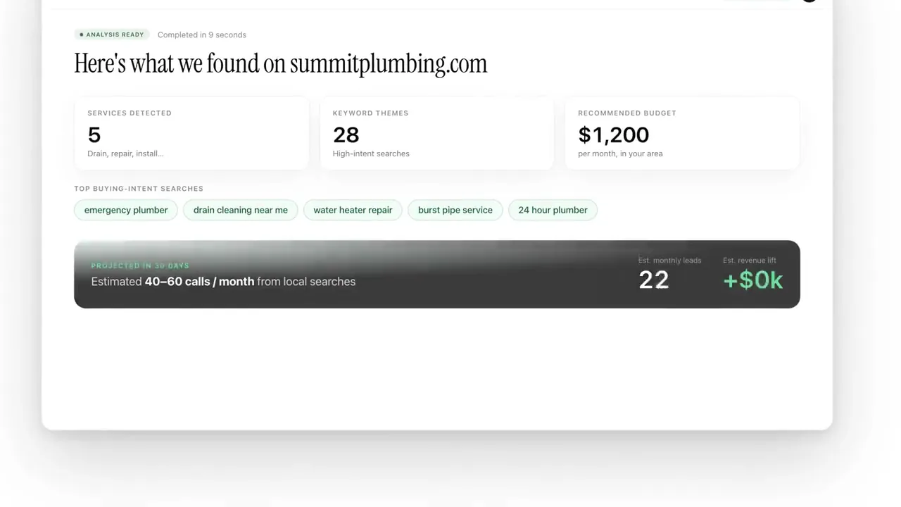 Findings page with services detected, keyword themes, a recommended budget and top buying intent searches